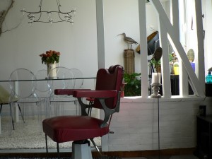 salon chaise oiseau